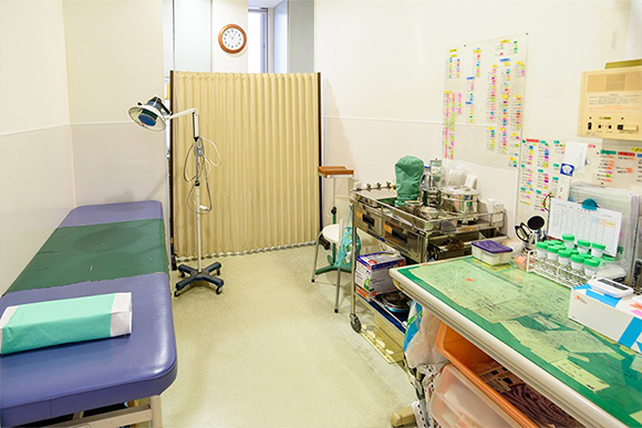 医療法人れぐと会 せいわ整形外科 内科医院　院内